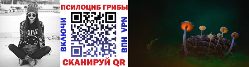 Псилоцибиновые грибы MAGIC MUSHROOMS  Красноярск 