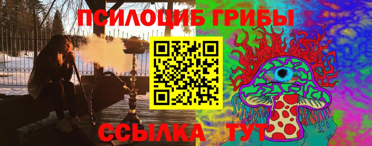 купить закладку  Псилоцибиновые грибы прущие грибы  Вход с VPN  Красноярск 