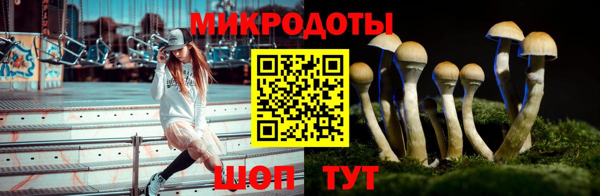 Псилоцибиновые грибы GOLDEN TEACHER Красноярск