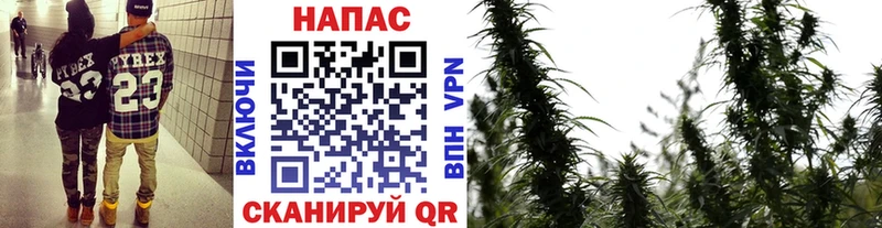 Каннабис THC 21% где можно купить наркотик Красноярск